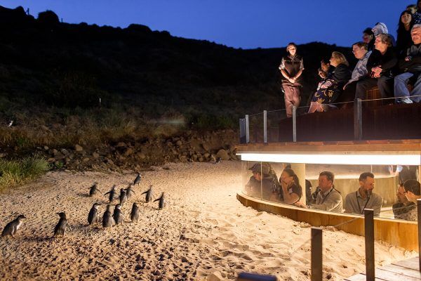 Excursión Melbourne y Philip island