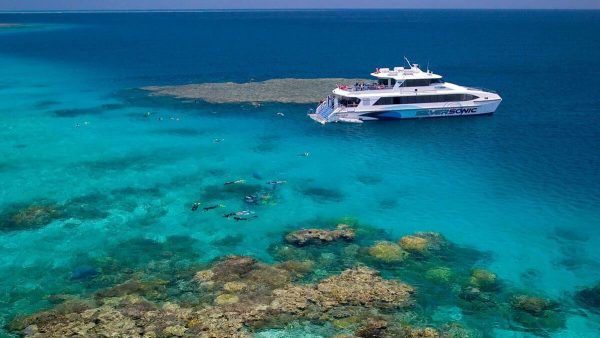 crucero silversonic Barrera de coral